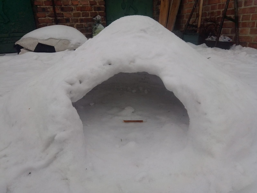IMG-20210219-WA0000