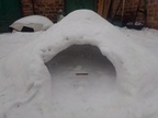 IMG-20210219-WA0000