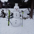 IMG-20210216-170952 (1)